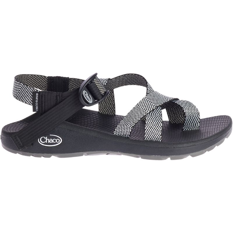 Chaco Z/Cloud 2 Sandaler Dame Grå | 90378-AUIY