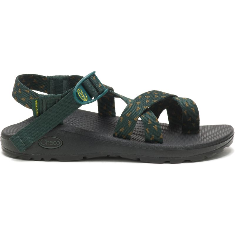 Chaco Z/Cloud 2 Sandaler Dame Grønn | 90624-NTVM