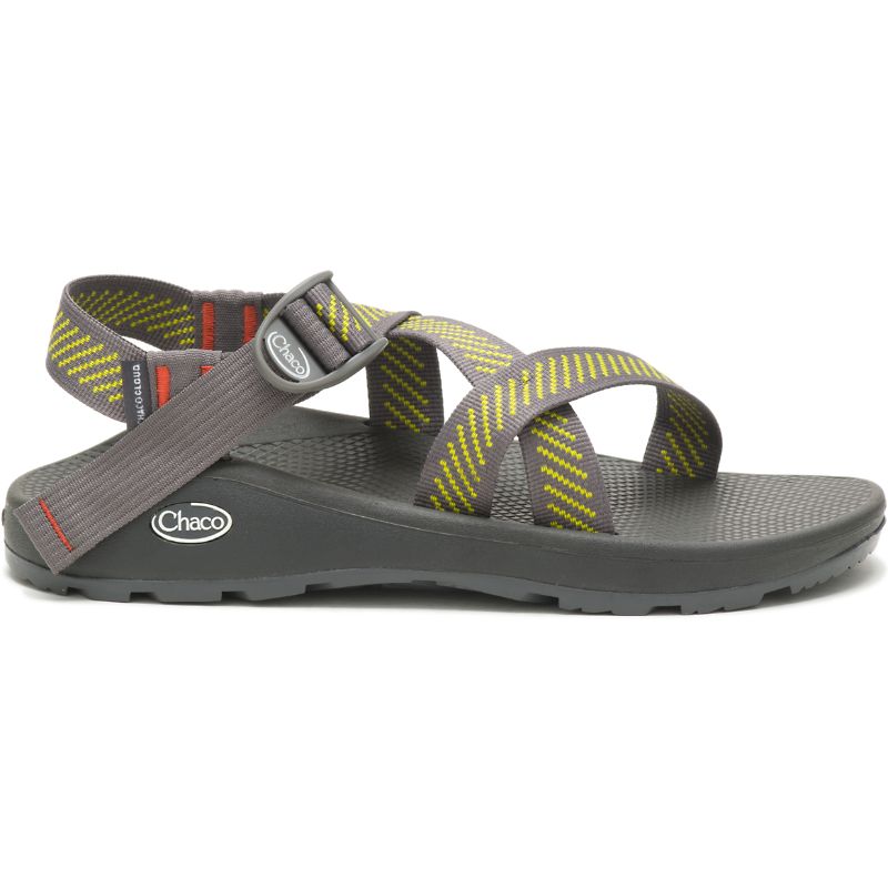 Chaco Z/Cloud Sandaler Herre Grå | 95286-LCUS