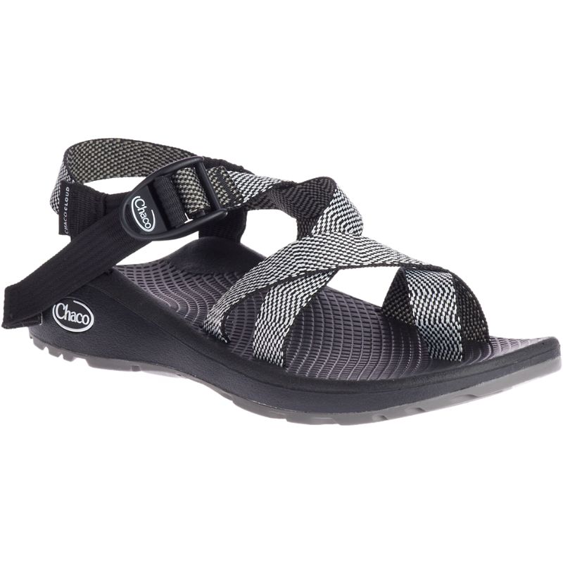 Chaco Z/Cloud 2 Sandaler Dame Grå | 90378-AUIY