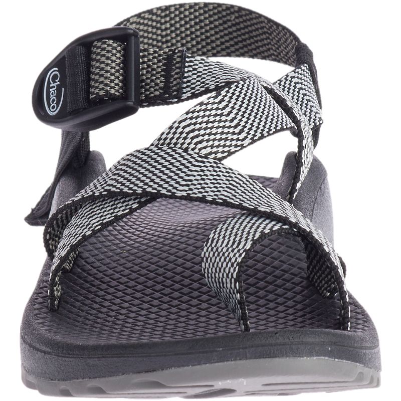 Chaco Z/Cloud 2 Sandaler Dame Grå | 90378-AUIY