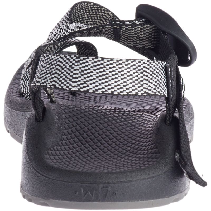 Chaco Z/Cloud 2 Sandaler Dame Grå | 90378-AUIY