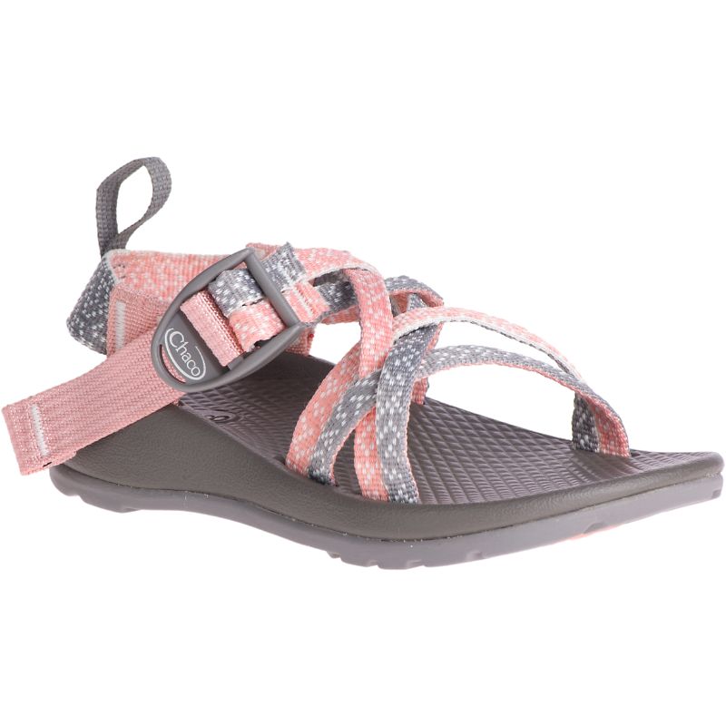 Chaco Zx/1 Ecotread™ Sandaler Barn Rosa Grå | 01346-HLMP