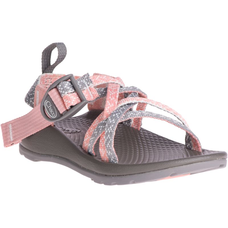 Chaco Zx/1 Ecotread™ Sandaler Barn Rosa Grå | 01346-HLMP