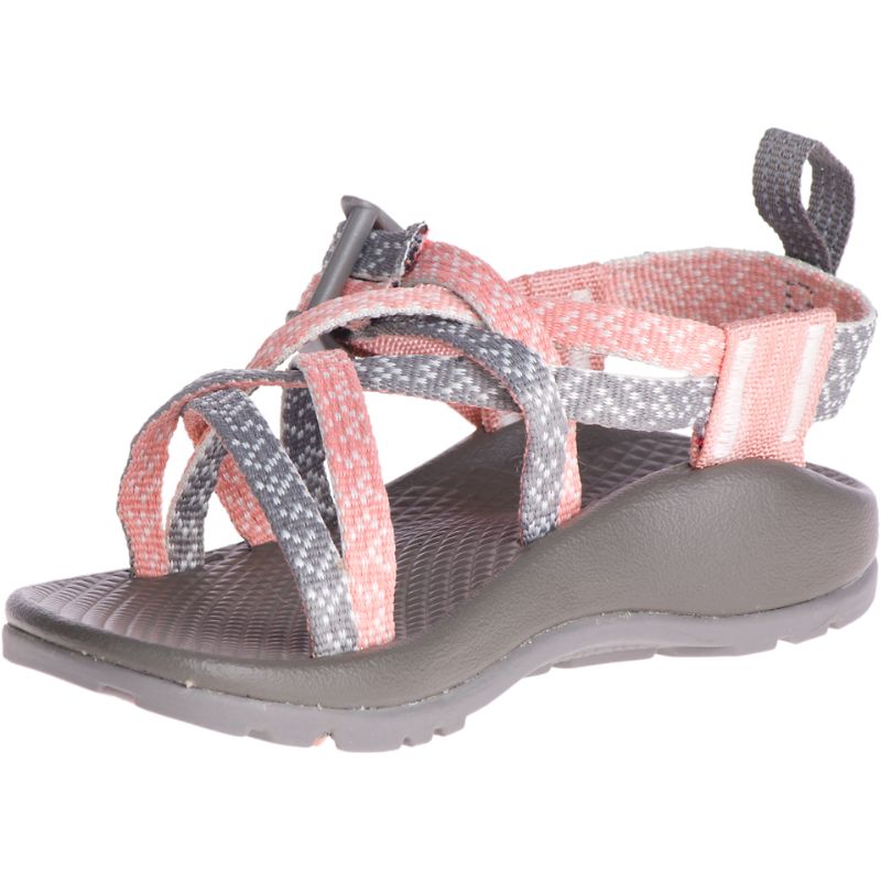 Chaco Zx/1 Ecotread™ Sandaler Barn Rosa Grå | 01346-HLMP