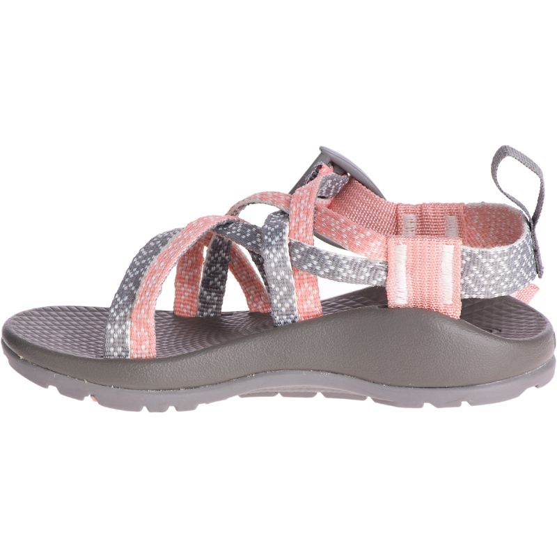 Chaco Zx/1 Ecotread™ Sandaler Barn Rosa Grå | 01346-HLMP