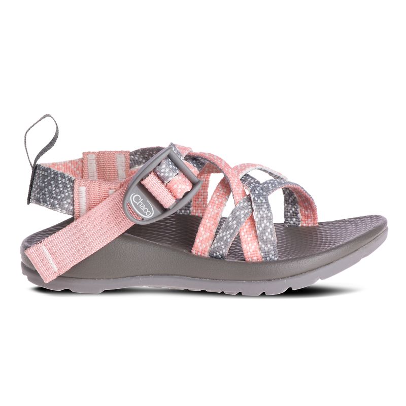 Chaco Zx/1 Ecotread™ Sandaler Barn Rosa Grå | 01346-HLMP